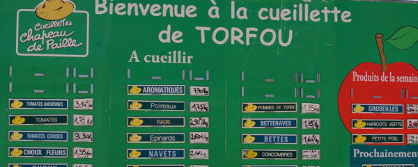 Torfou