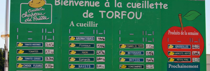 Torfou