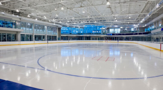 patinoire synthétique