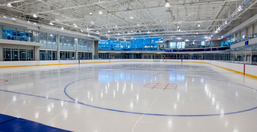 patinoire synthétique